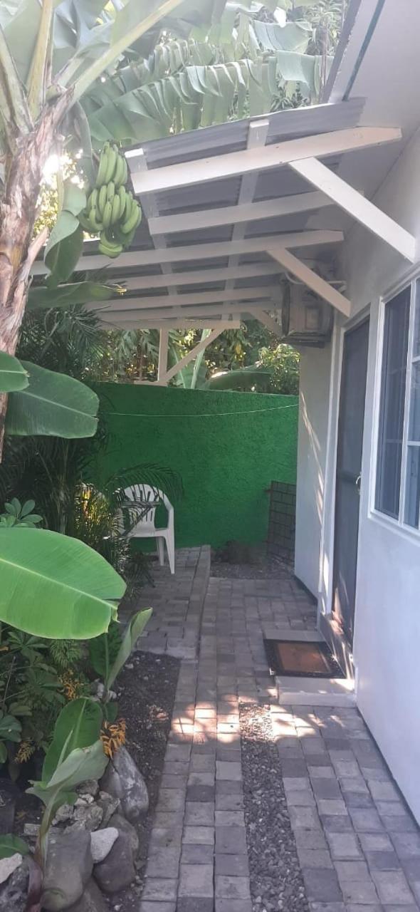 Centrally Located Room - 5 Port Antonio Exterior photo