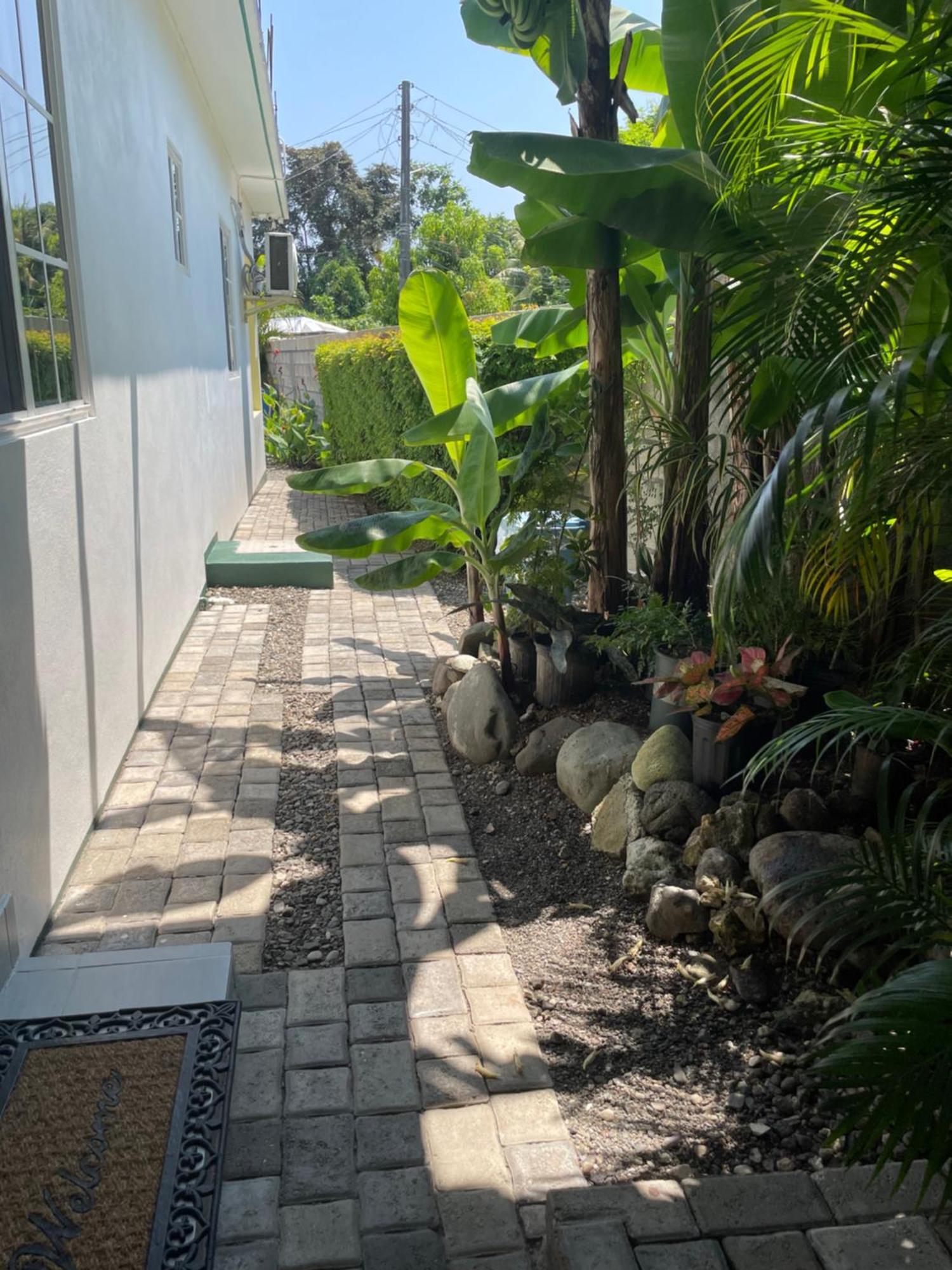 Centrally Located Room - 5 Port Antonio Exterior photo